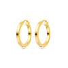 Earrings - 40.32158